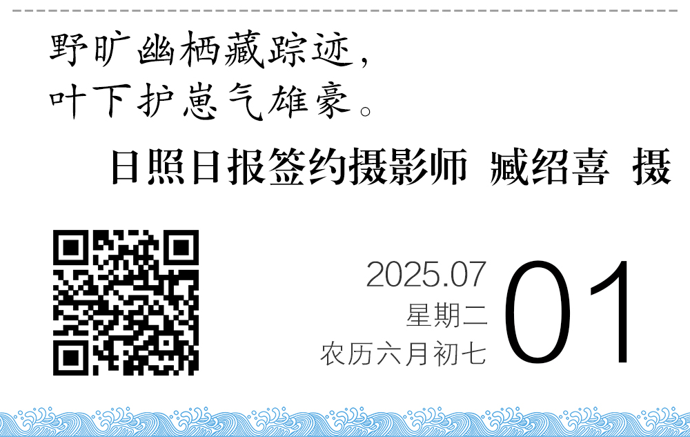 1751289347739058003.jpg 22.jpg