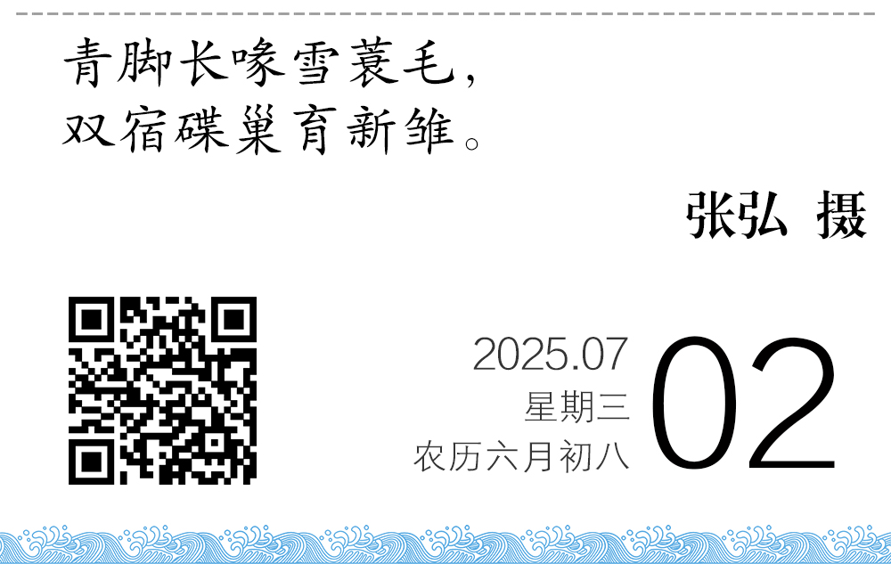 1751375627422092211.jpg 333.jpg