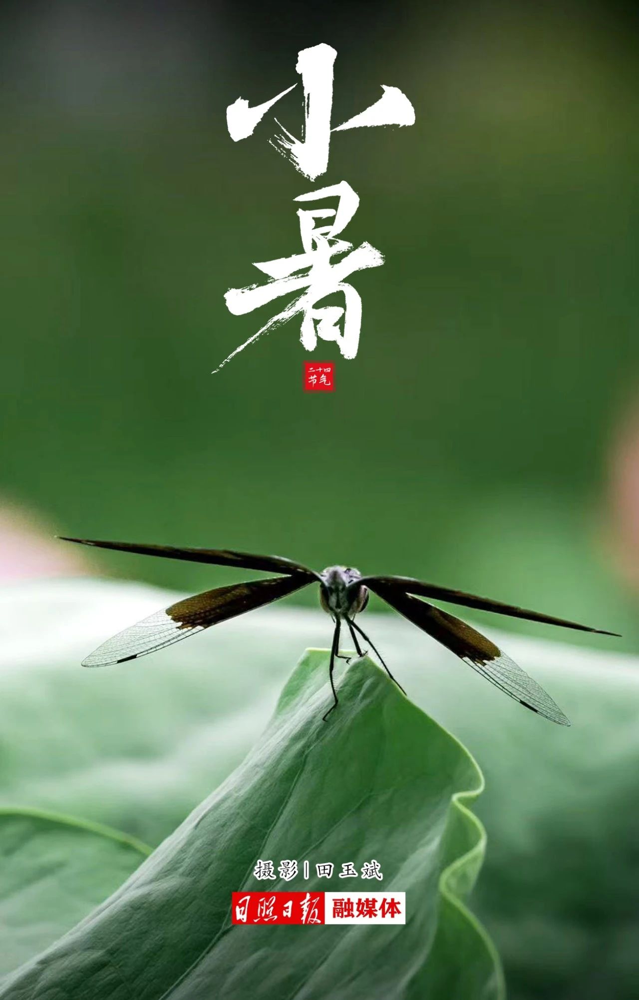 c76b5e3bee998e57b7883e1139e3df6f.jpg