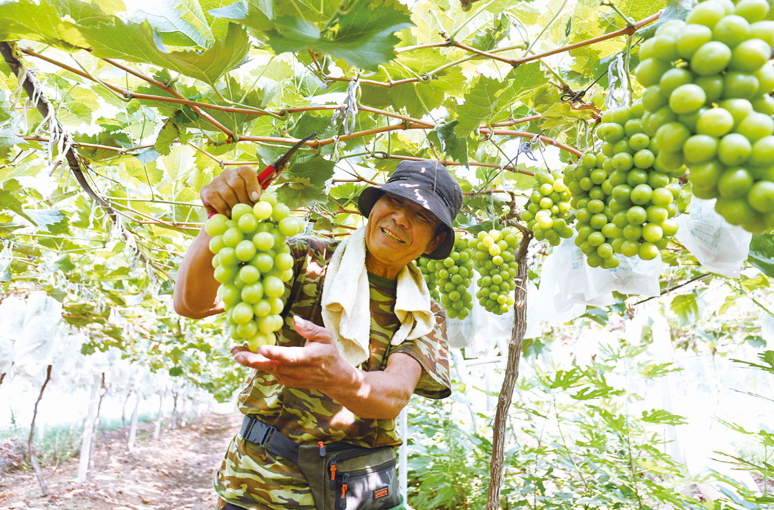 1757032249500027121.png image.png