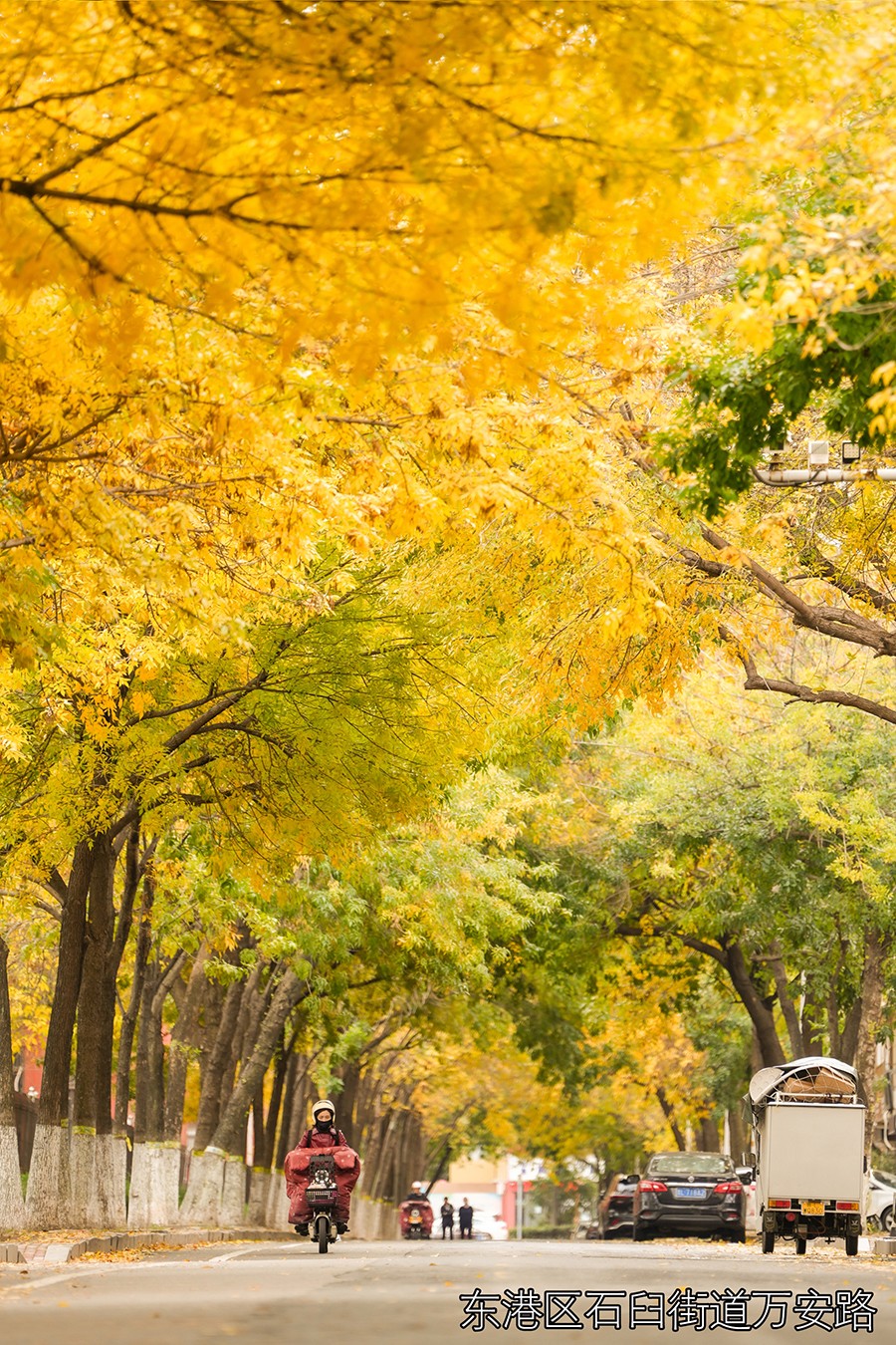 1762346243653064607.jpg 1.jpg