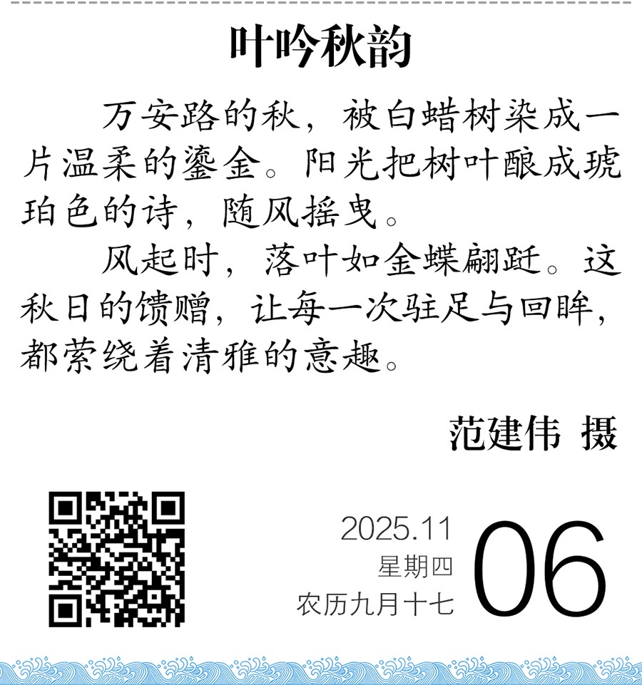 1762346255319050043.jpg 2.jpg