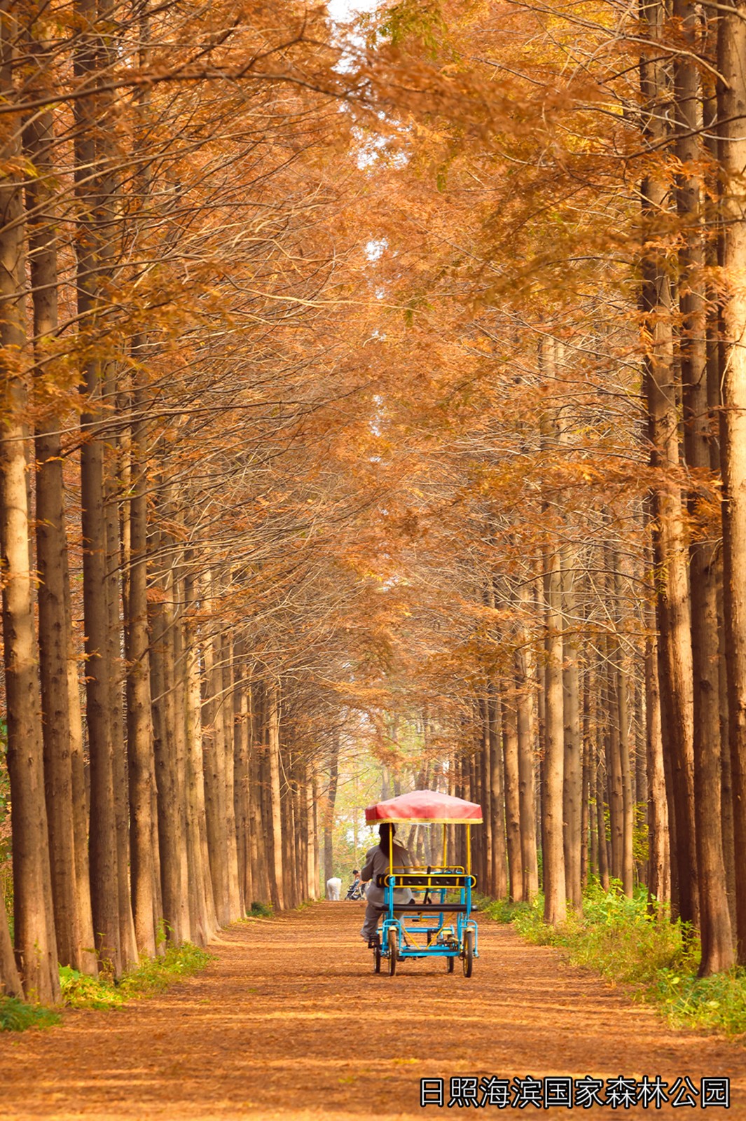 1763378374593050208.jpg 周二.jpg