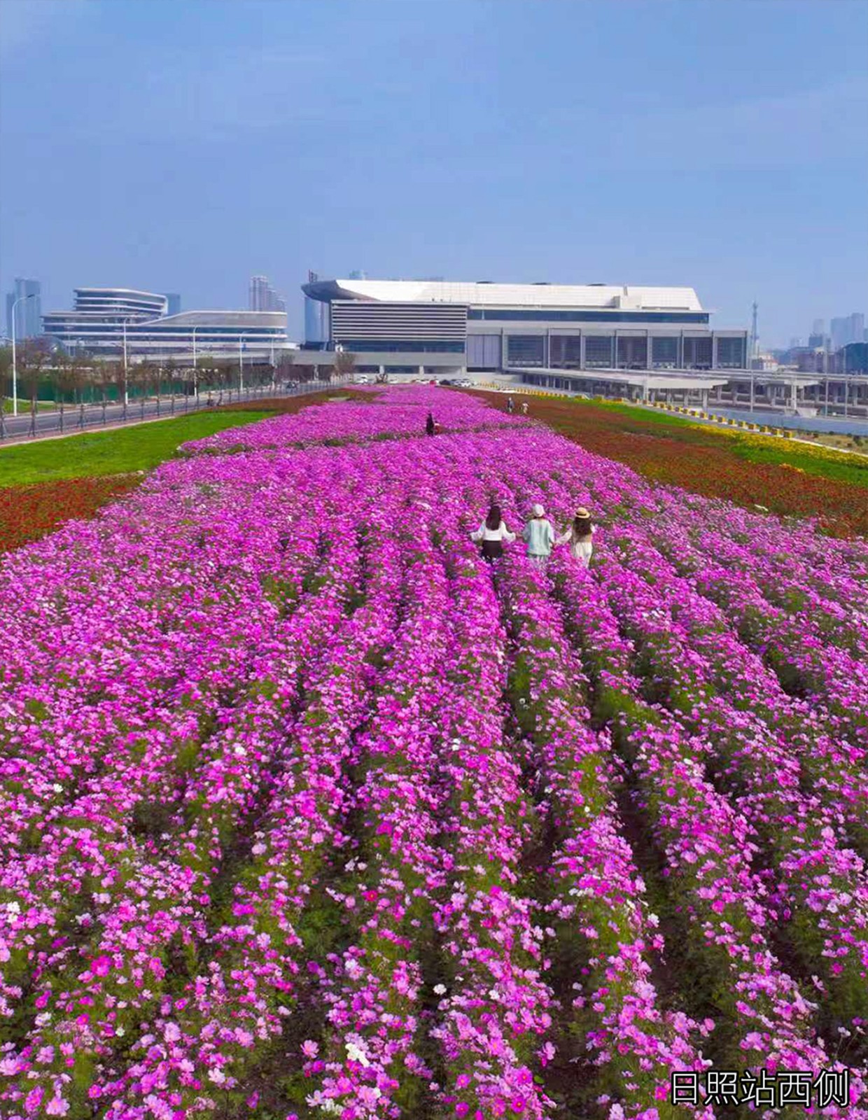 1763466445160096738.jpg 周三仨.jpg