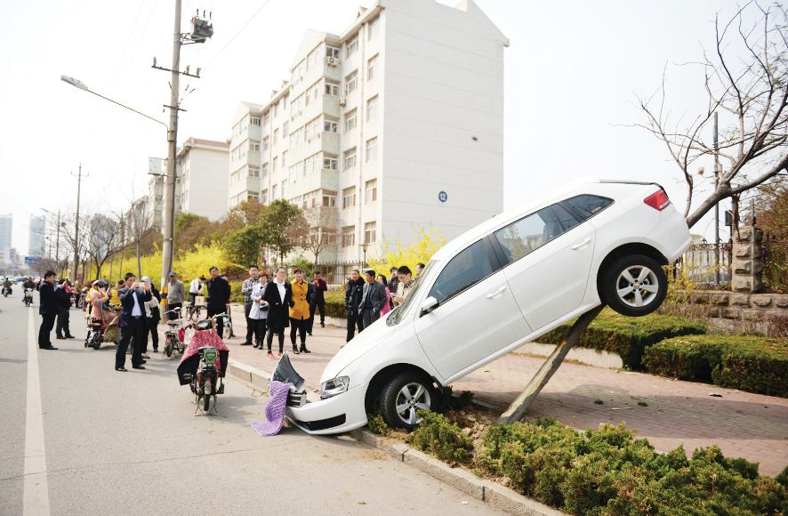 錯把油門當剎車 實習女司機開車“上樹”