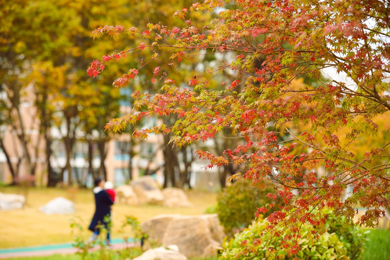 微信圖片_20201102154247.jpg