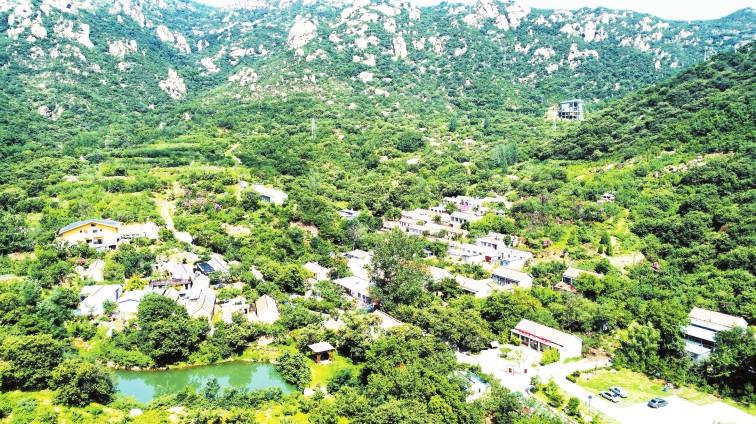 “近零碳”打造綠色鄉村