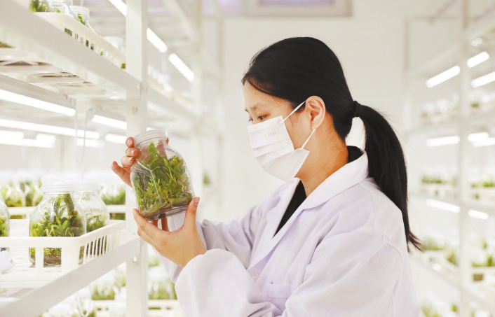 科技賦能鄉村振興