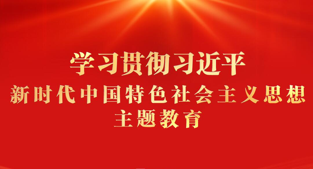 學(xué)習(xí)貫徹習(xí)近平新時(shí)代中國(guó)特色社會(huì)主義思想主題教育
