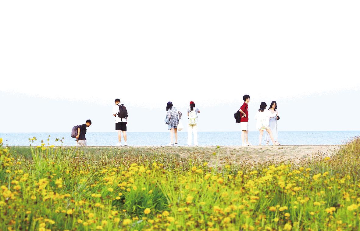 盛夏詩意引客來