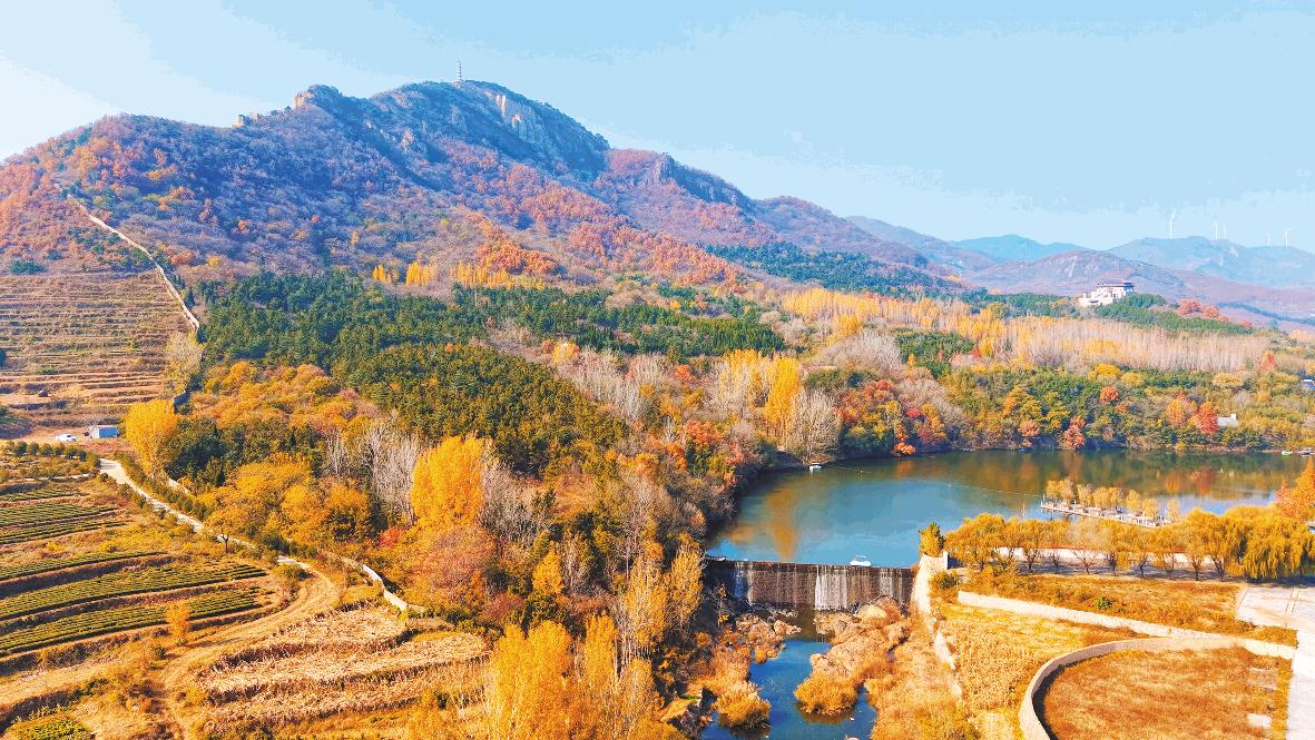 裁取冬色入畫(huà)框